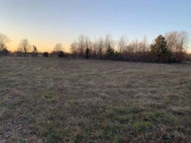 0 Jim Jackson Road Humboldt, TN 38343 - Photo 3 of 5 a view of a yard