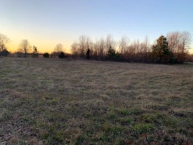 0 Jim Jackson Road Humboldt, TN 38343 - Photo 5 of 5 a view of large trees with sunset in background
