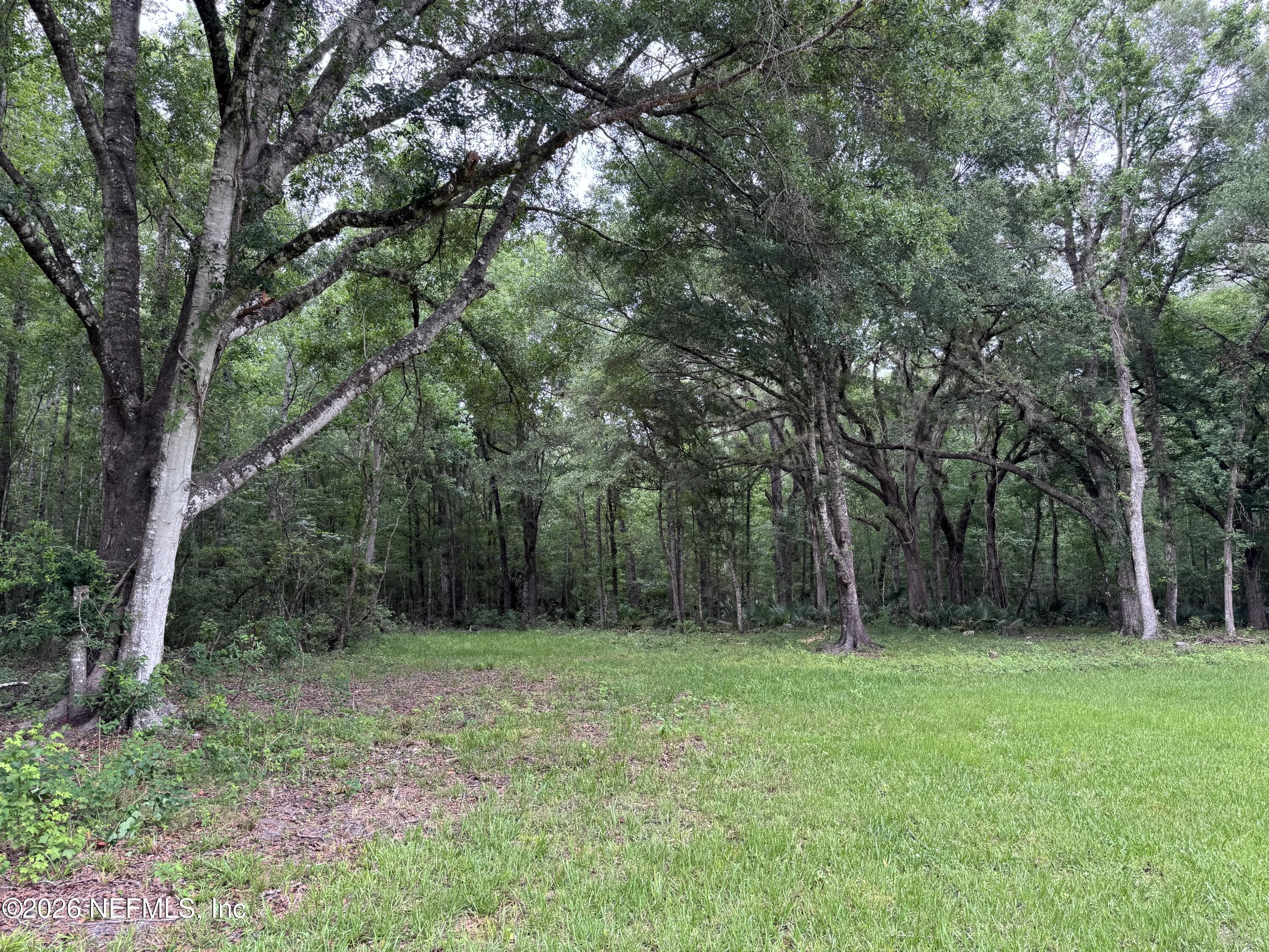 8537 Thomas Road Jacksonville, FL 32219 - Photo 73 of 82 IMG_5554