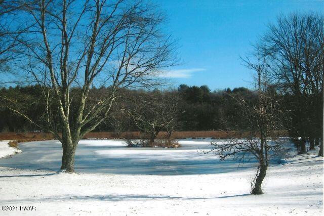 115 Chestnut Ridge Road Dingmans Ferry, PA 18328 - Photo 39 of 47 Winter
