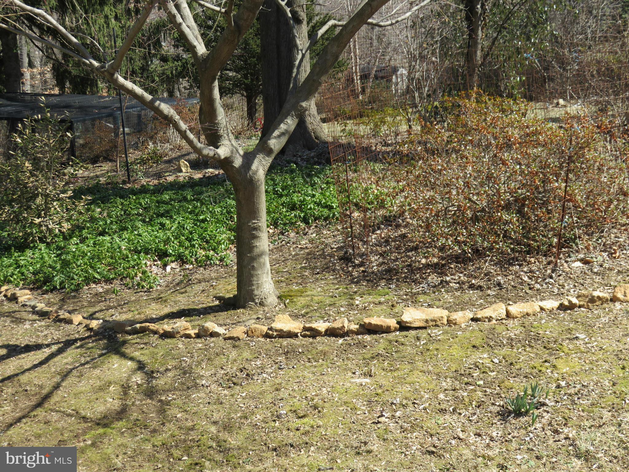 1022 Litchfield Road Baltimore, MD 21239 - Photo 3 of 28 Gardens