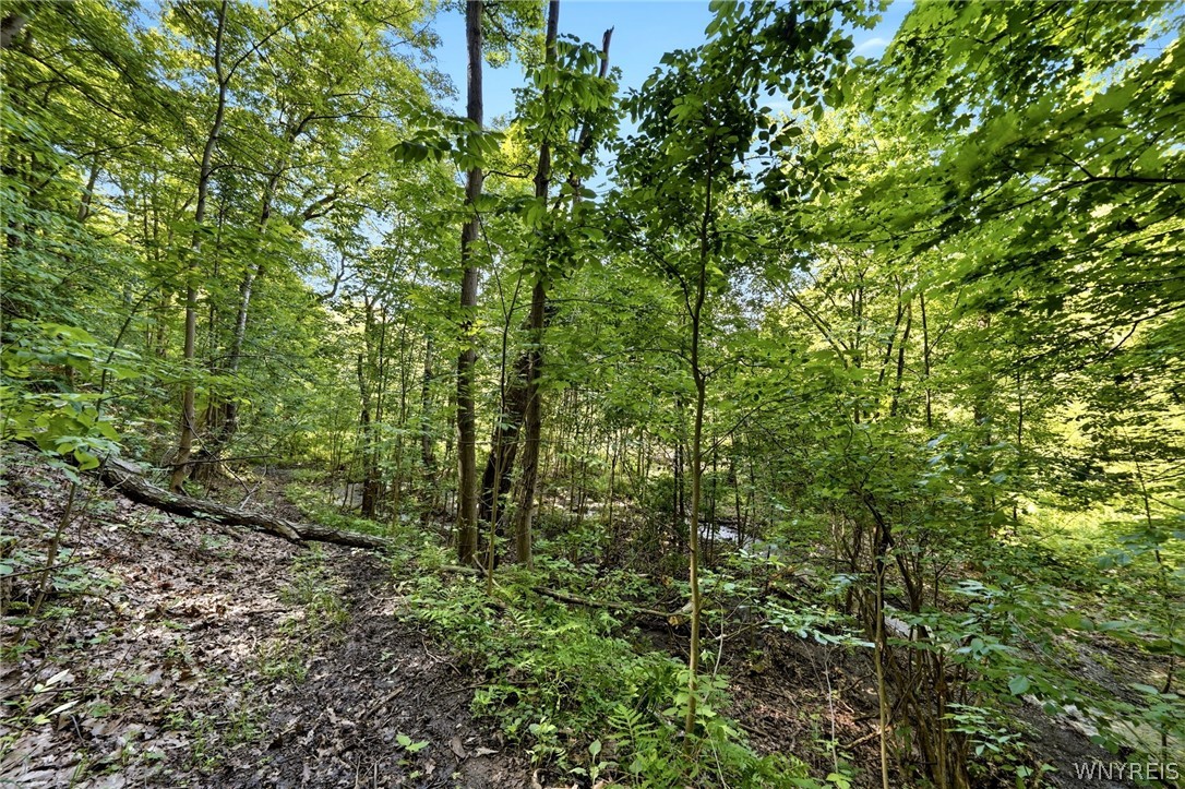 1536 South Creek Road Evans, NY 14047 - Photo 38 of 50