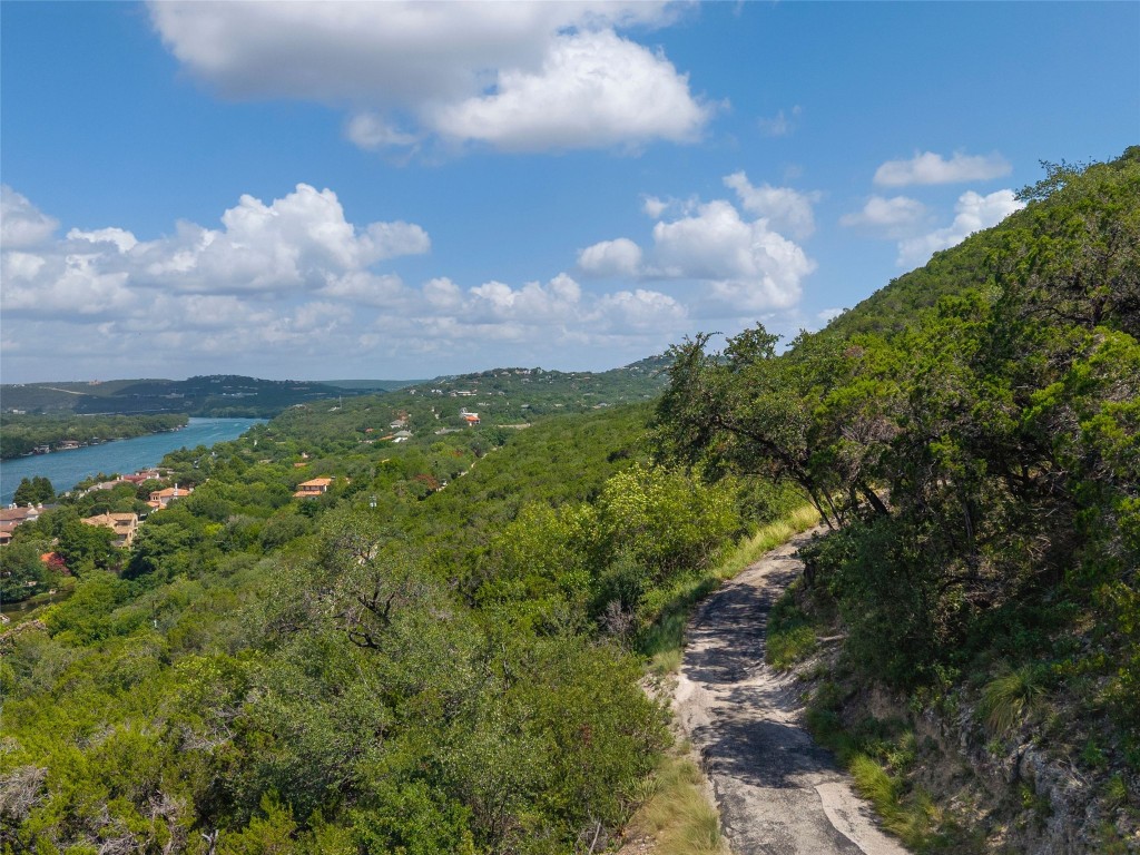 4323 Mt Bonnell Road Austin, TX 78731 - Photo 14 of 24 a view of a bunch of trees