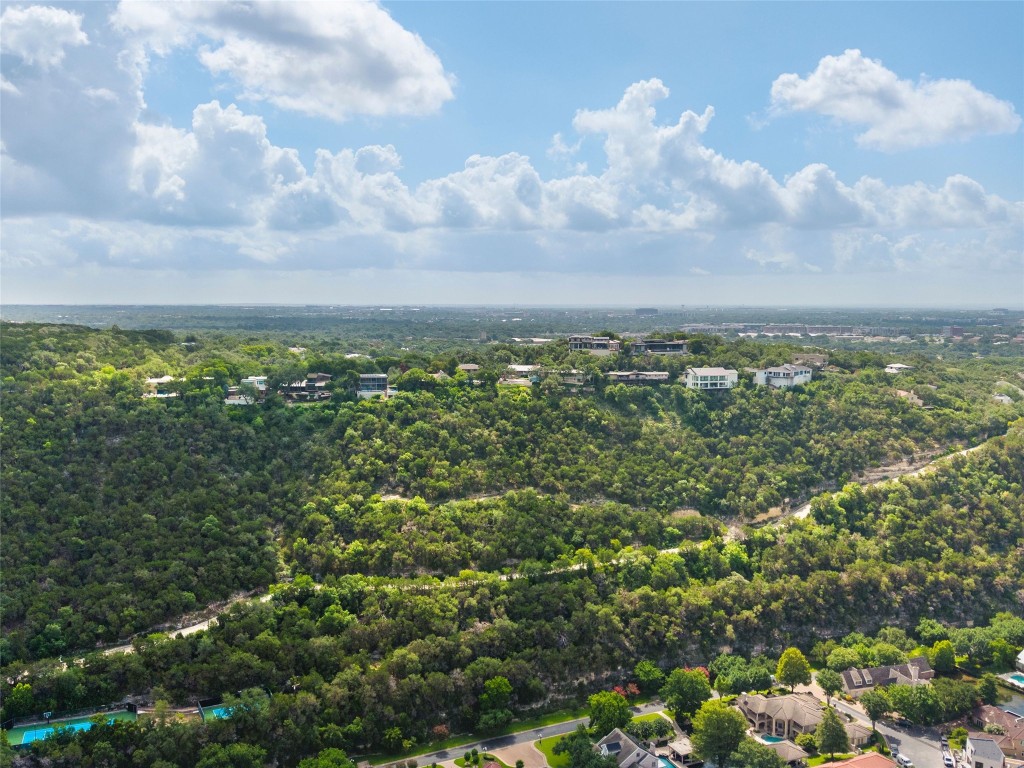 4323 Mt Bonnell Road Austin, TX 78731 - Photo 8 of 24 a view of a bunch of trees