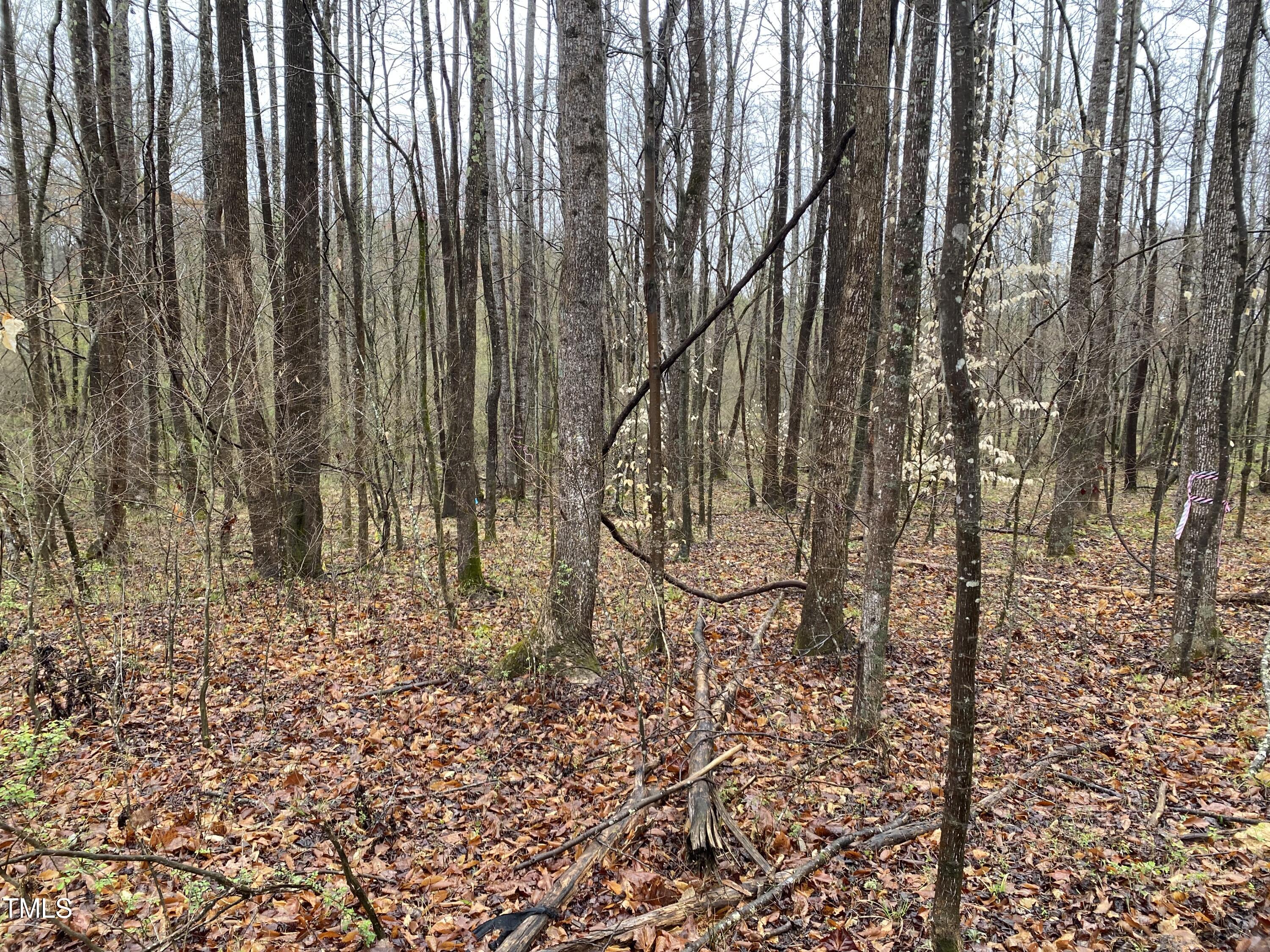1332 Bessie Daniel Road Roxboro, NC 27574 - Photo 5 of 8 a view of wooden fence