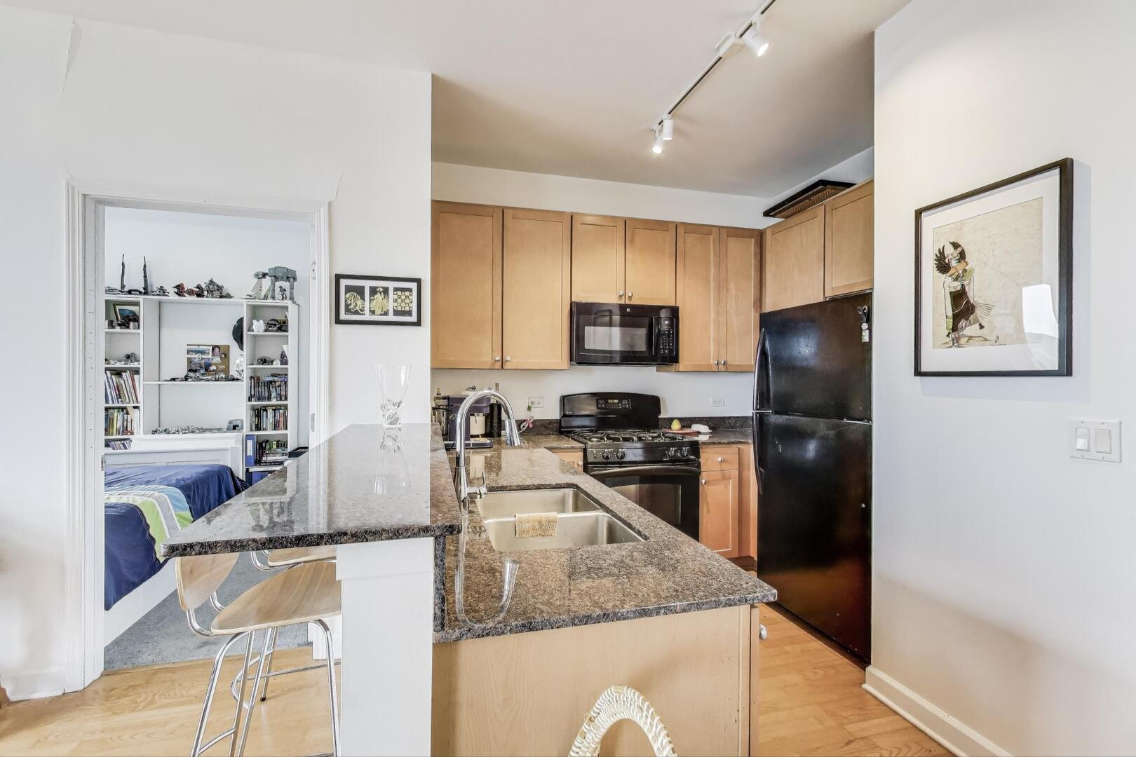 233 East 13th Street, Unit 2510 Chicago, IL 60605 - Photo 15 of 39