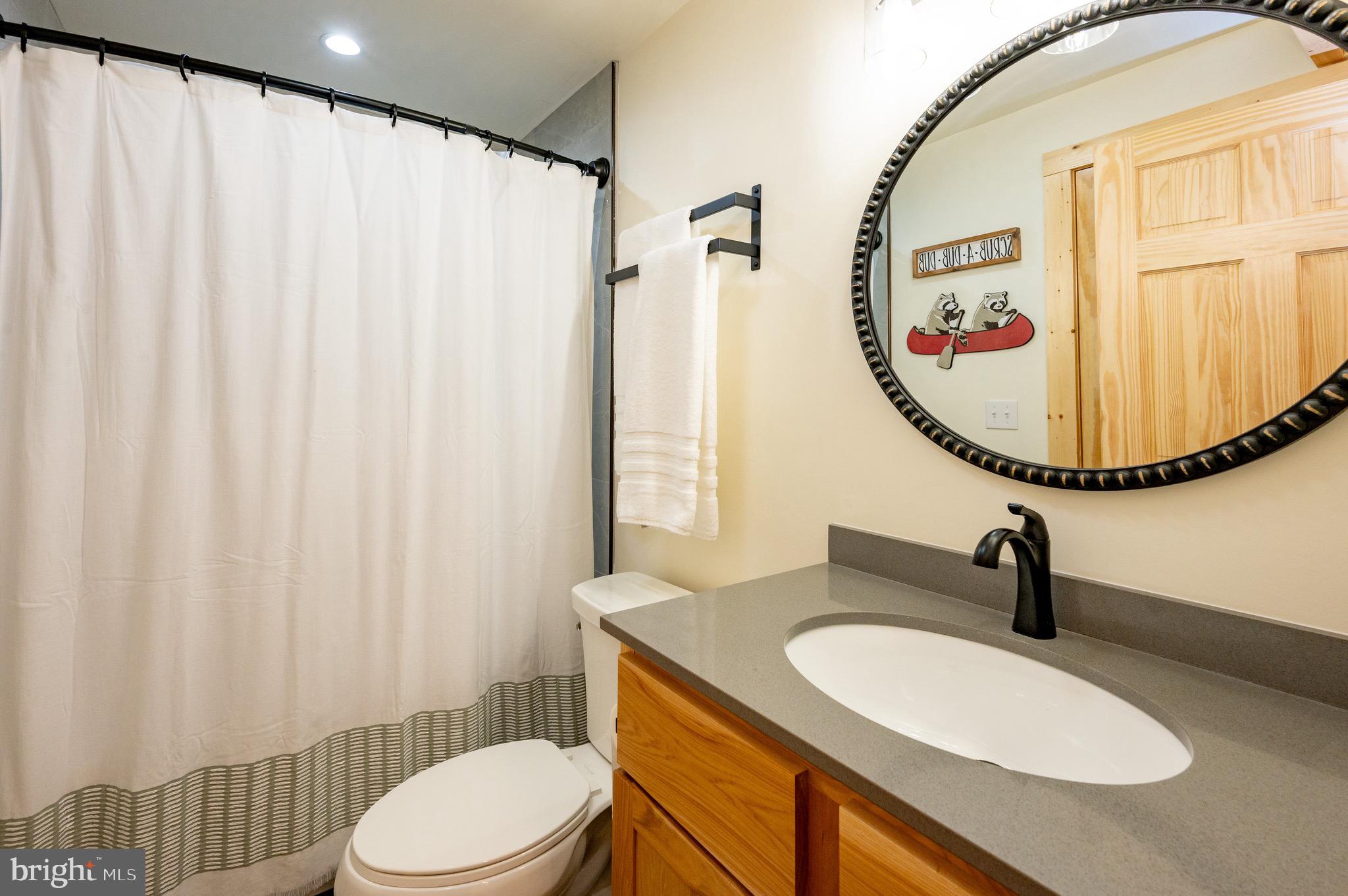 36 Irwin Way Oakland, MD 21550 - Photo 54 of 65