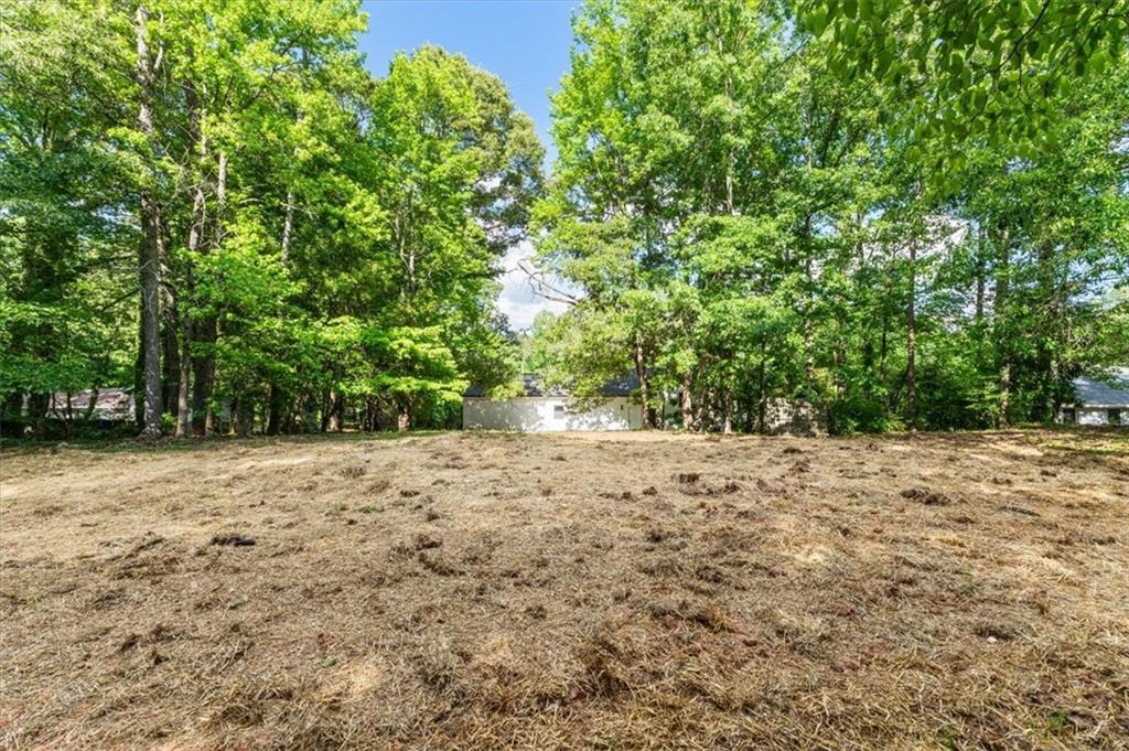 6885 Silver Maple Trail Fairburn, GA 30213 - Photo 48 of 50