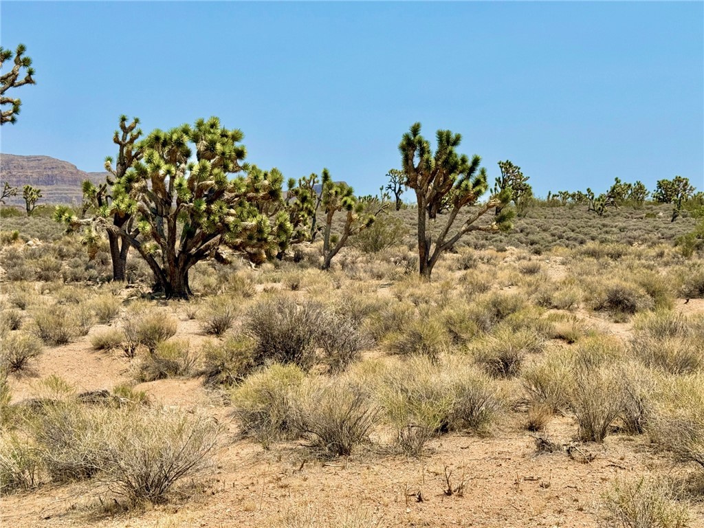 26681 Yucca Meadview, AZ 86444 - Photo 10 of 25 a view of a dry yard with wooden fence