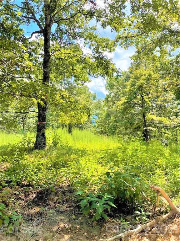 0 North Highland Road, Unit 6 Mill Spring, NC 28756 - Photo 11 of 14 a view of outdoor space