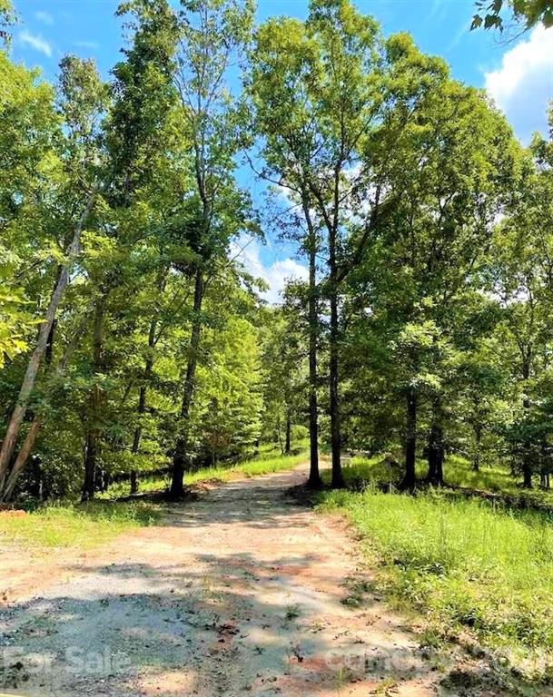 0 North Highland Road, Unit 6 Mill Spring, NC 28756 - Photo 12 of 14 a view of a large yard with lots of green space