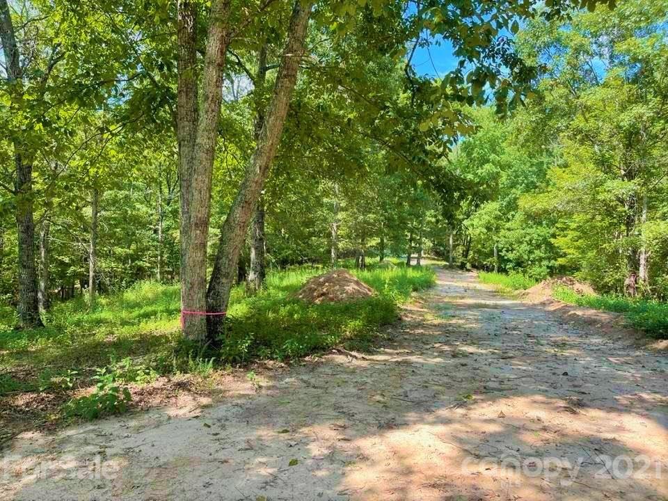 0 North Highland Road, Unit 6 Mill Spring, NC 28756 - Photo 6 of 14 a view of a yard with plants and large trees