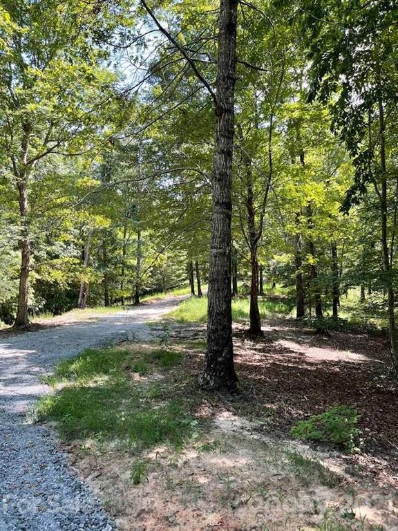 0 North Highland Road, Unit 6 Mill Spring, NC 28756 - Photo 7 of 14 a view of a road with plants and trees