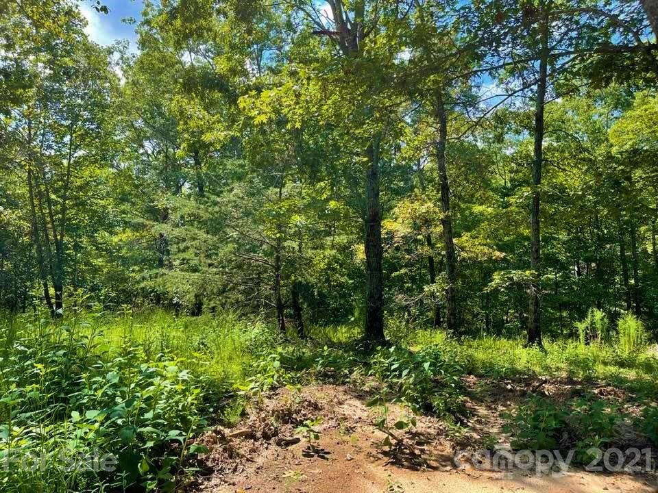 0 North Highland Road, Unit 6 Mill Spring, NC 28756 - Photo 9 of 14 a big yard with lots of green space and trees