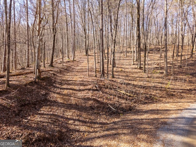 1110 Mayfield Lane Northeast Ranger, GA 30734 - Photo 1 of 19 a view of a yard with large trees