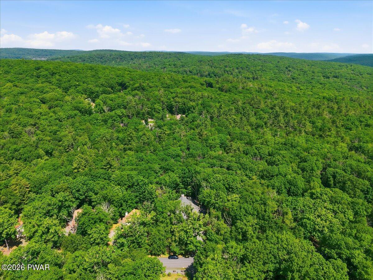 193 Eagle Rock Road Lackawaxen, PA 18435 - Photo 81 of 124