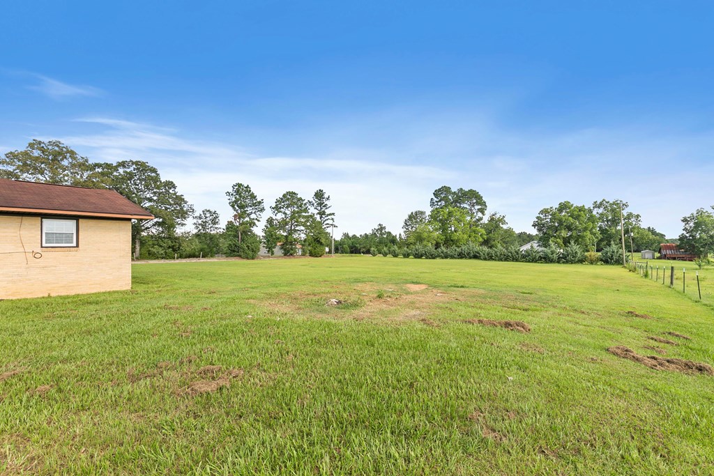 351 Hayborn Road Webb, AL 36376 - Photo 45 of 57