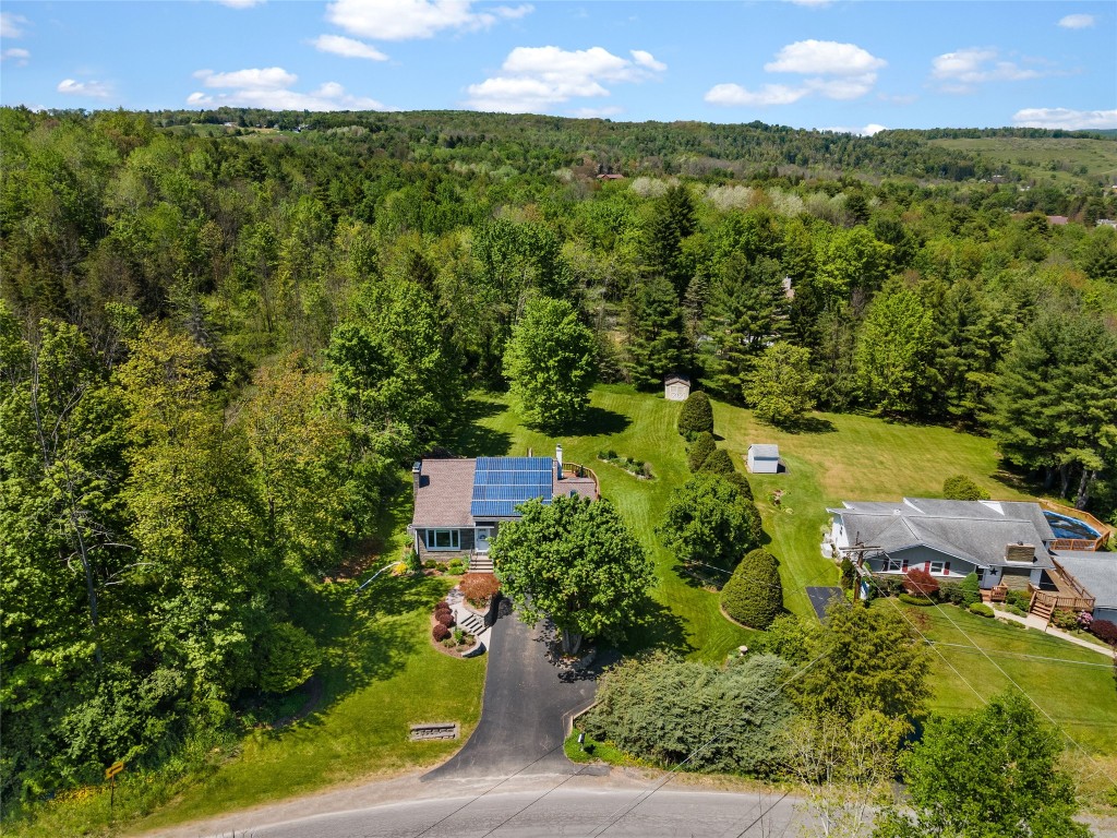 272 Chestnut Ridge Road Apalachin, NY 13732 - Photo 37 of 39