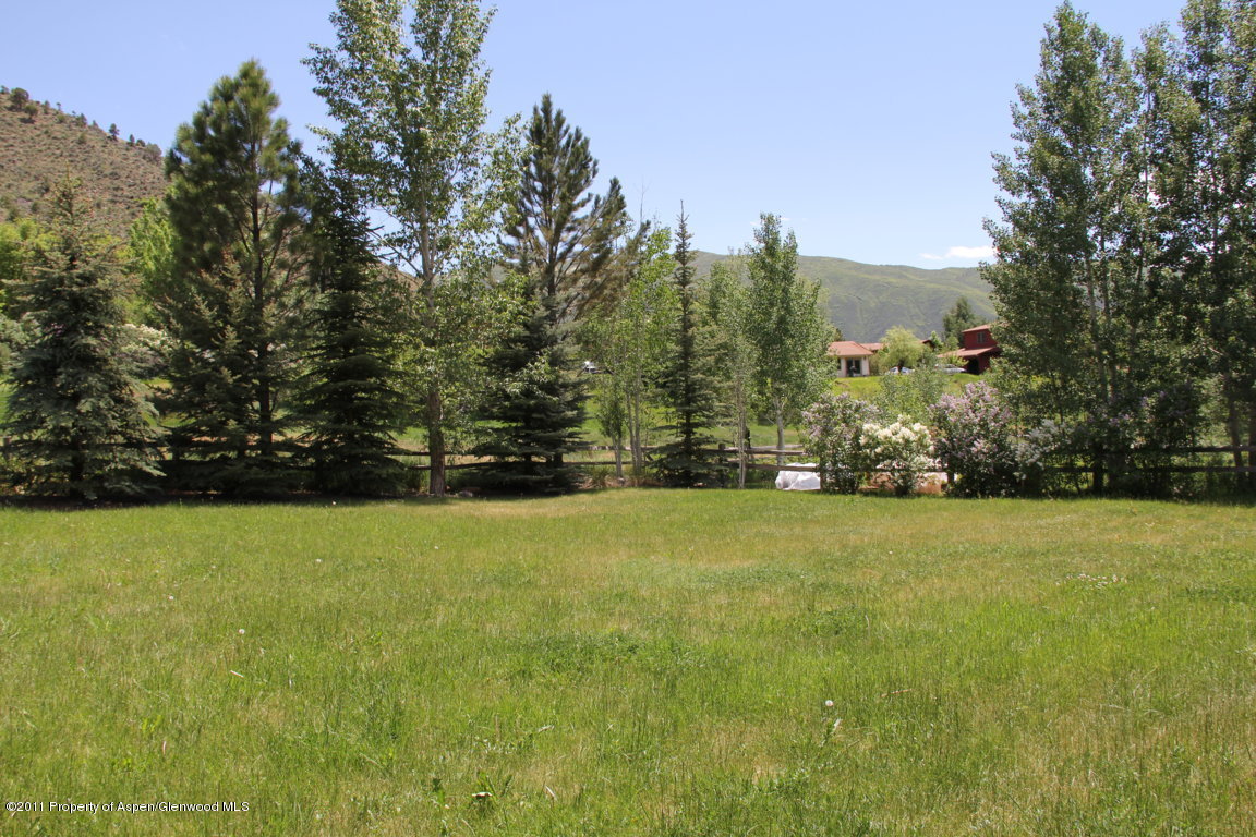 325 Riverside Drive Basalt, CO 81621 - Photo 6 of 25 a view of a field with trees in the background