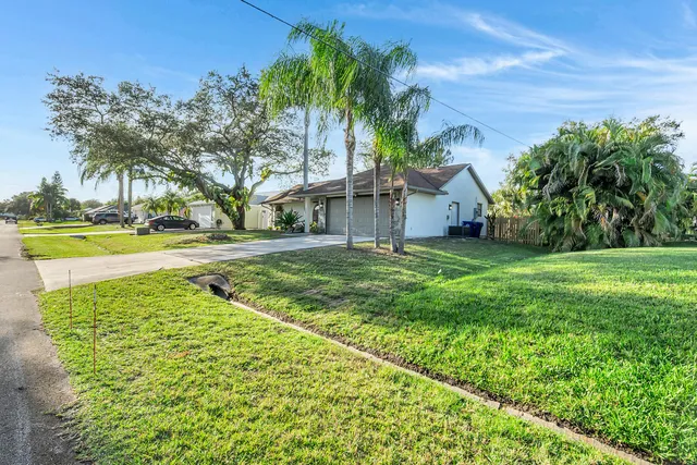 a view of a yard with palm trees