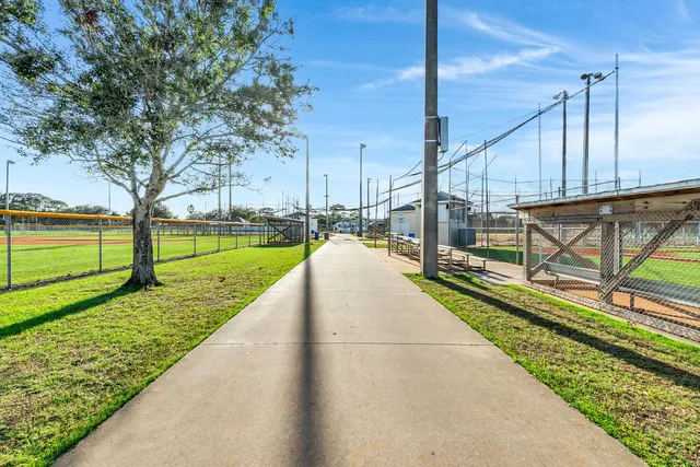 a view of a park with trees