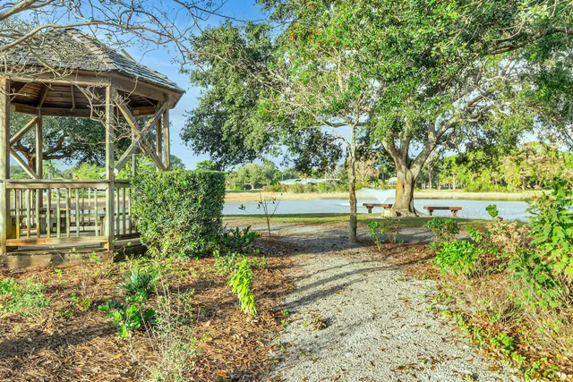 a view of a yard with plants and trees