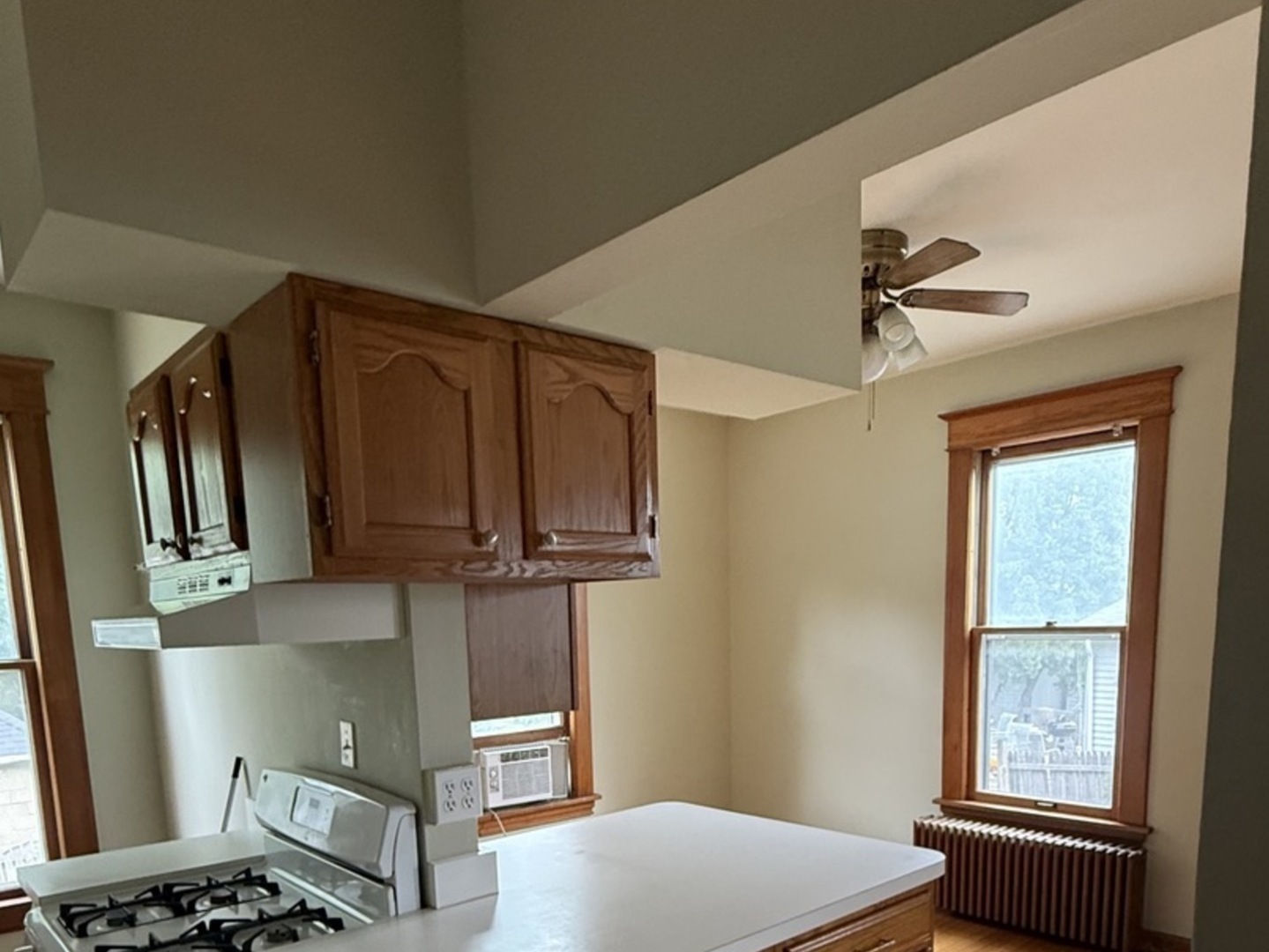 468 Locust Street Elgin, IL 60123 - Photo 5 of 16