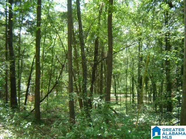 271 County Road, Unit 1 Clanton, AL 35045 - Photo 2 of 2