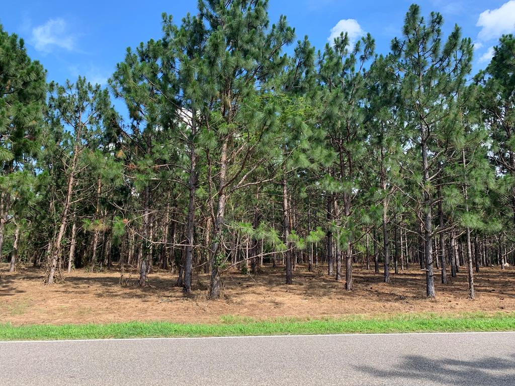 0 North Co Road Hartford, AL 36344 - Photo 1 of 1