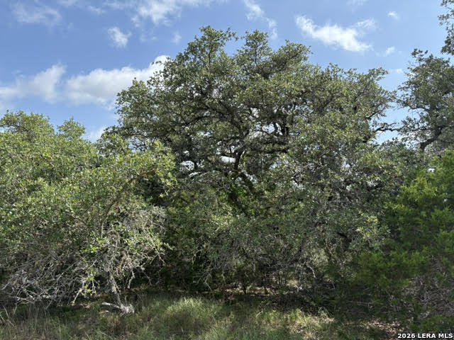 351 Ridge Point Spring Branch, TX 78070 - Photo 6 of 34