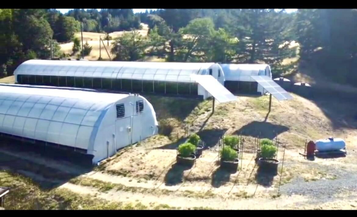36111 Alderpoint Road Blocksburg, CA 95514 - Photo 1 of 72