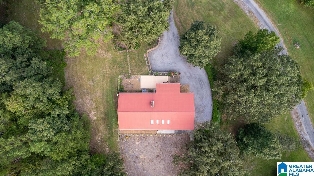 56230 North Highway 231 Oneonta, AL 35121 - Photo 9 of 62