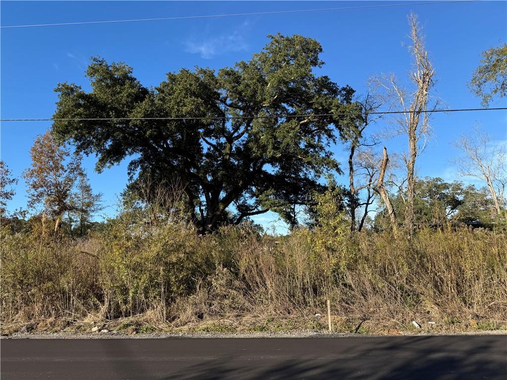 1 D Barnum Road Springfield, LA 70462 - Photo 6 of 11