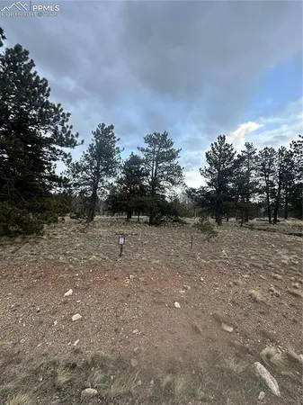 $53,000 | 72 Sulky Court, Hartsel, CO 80449