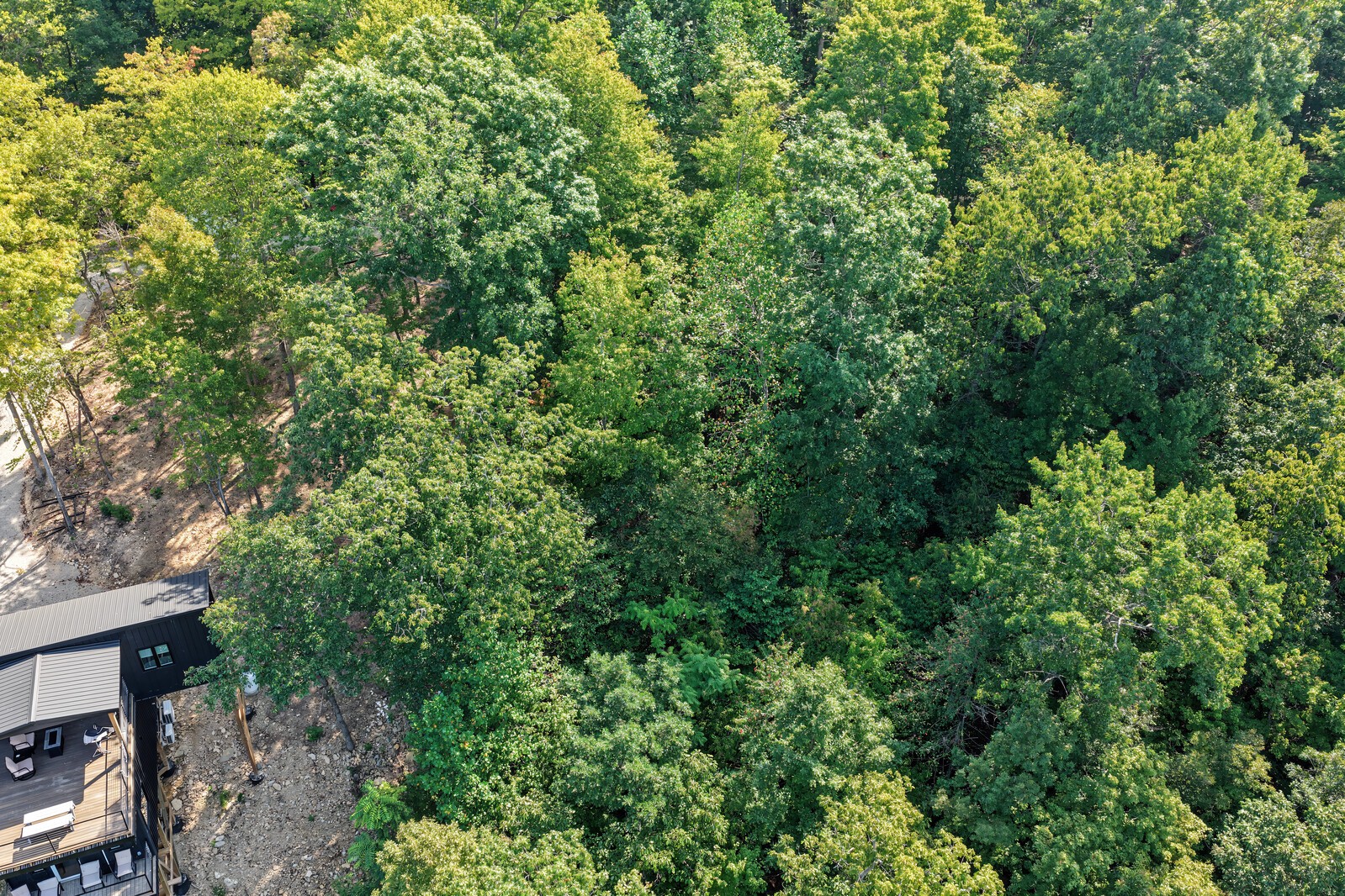 0 Joe Ridge Road Celina, TN 38551 - Photo 7 of 49 Gallery Image 7