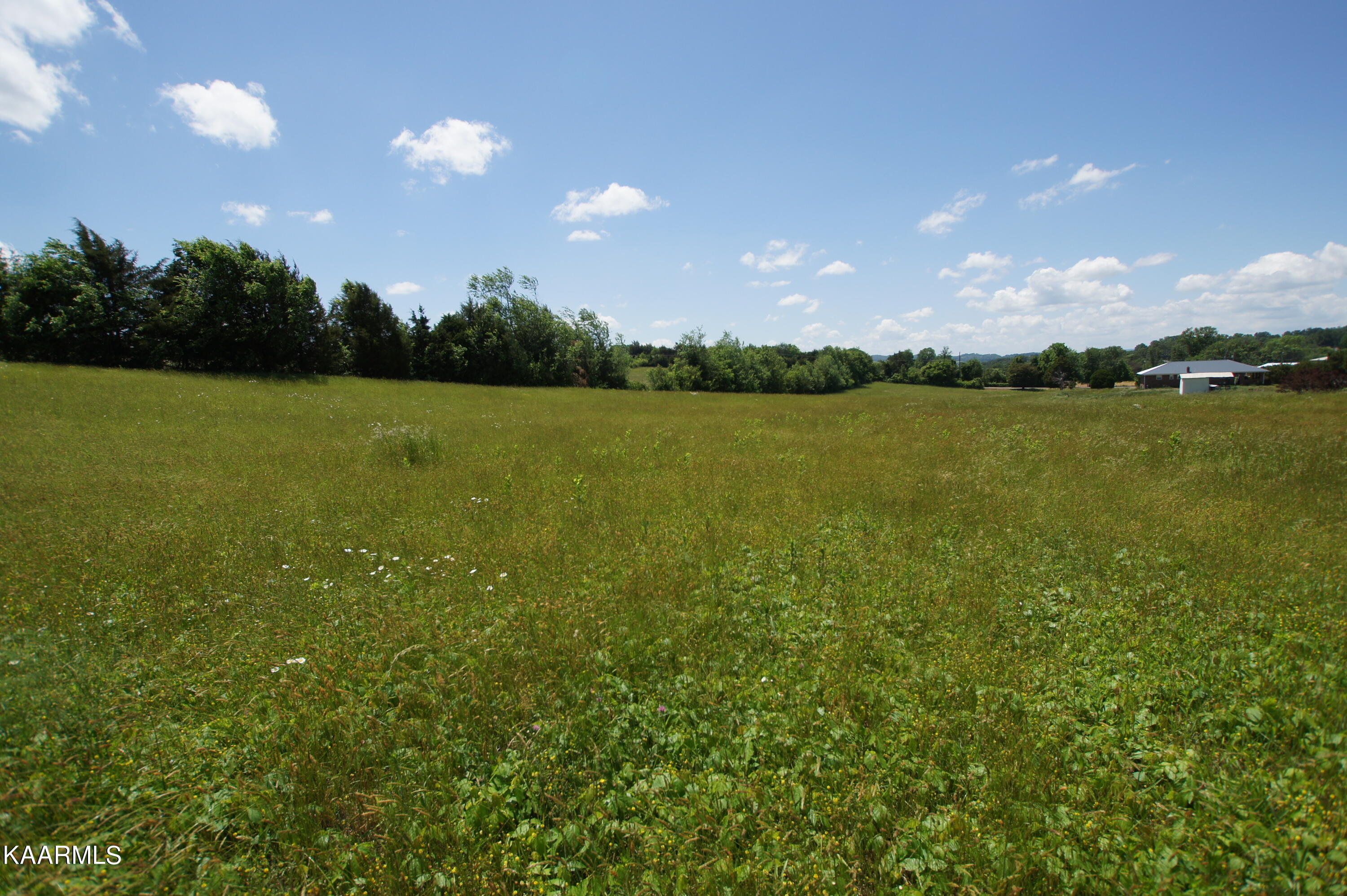 Jaybird Rd Road Morristown, TN 37814 - Photo 2 of 6 DSC02903