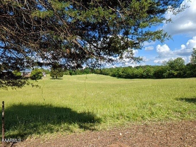 Jaybird Rd Road Morristown, TN 37814 - Photo 5 of 6 606983_1