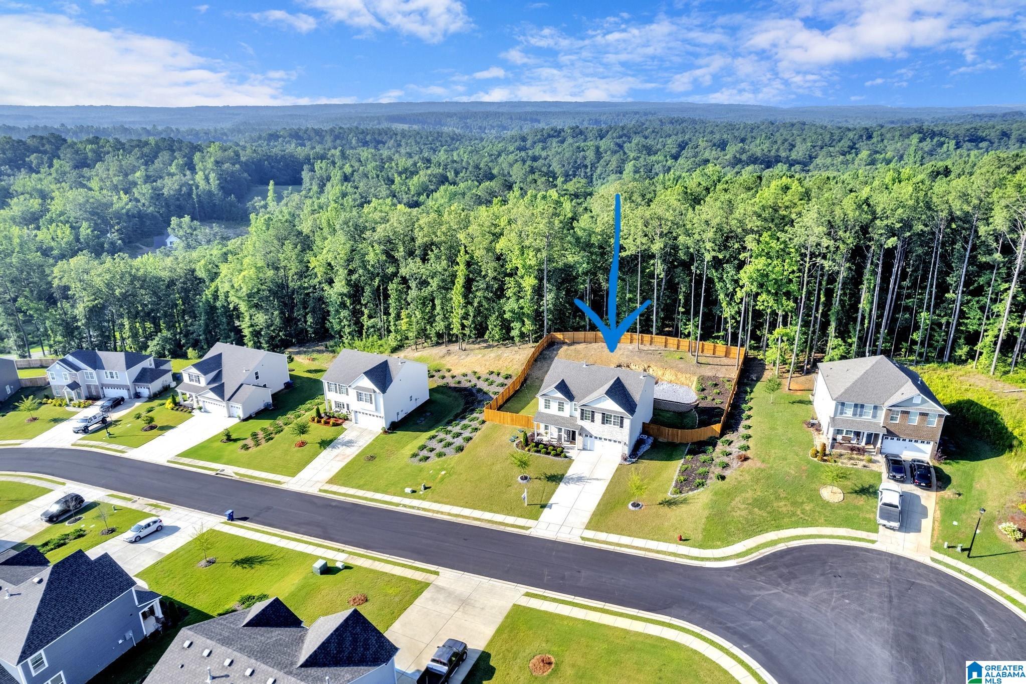 133 Rock Terrace Circle Helena, AL 35080 - Photo 47 of 56