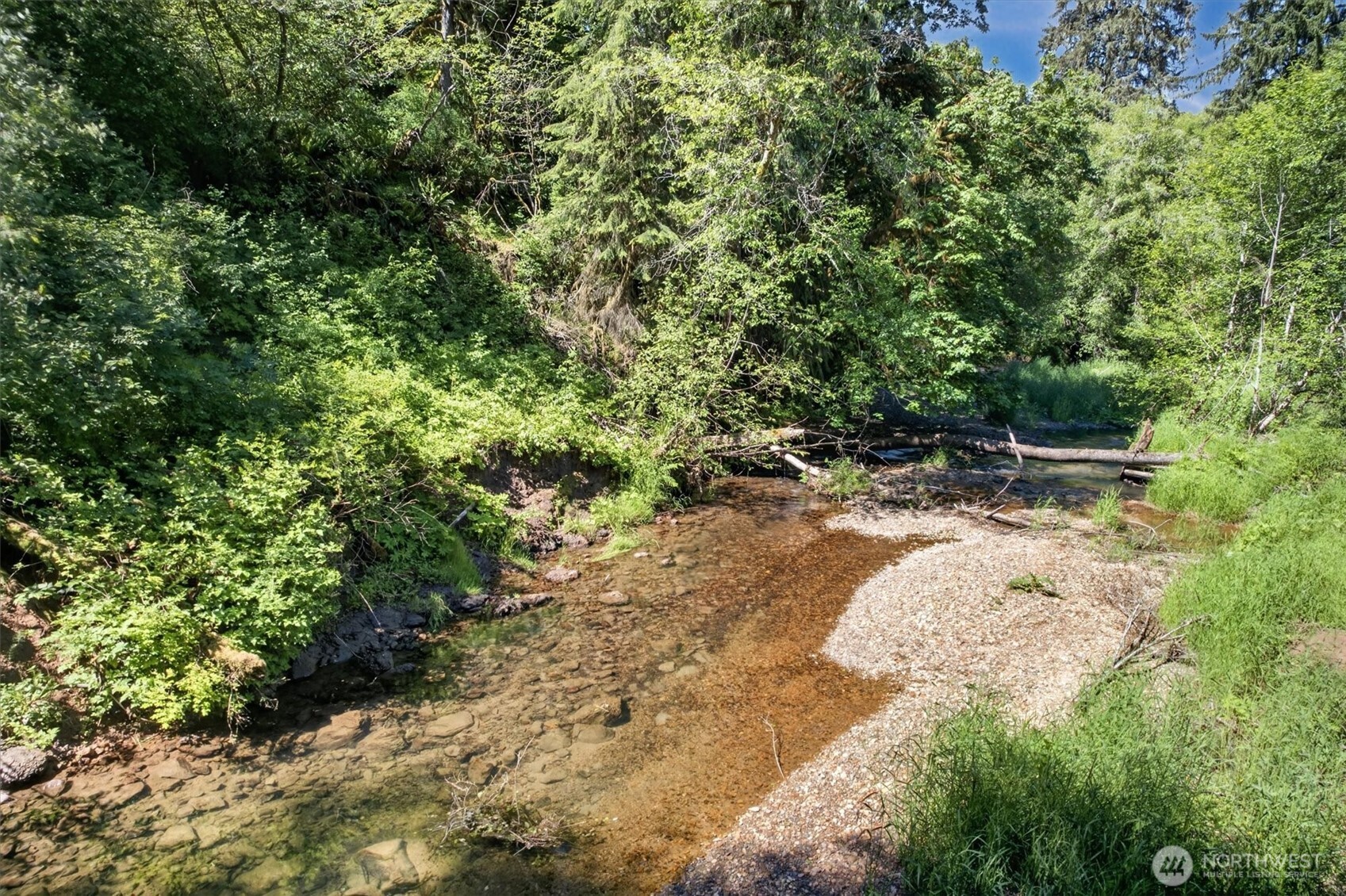 344 Hull Creek Road Grays River, WA 98621 - Photo 29 of 29
