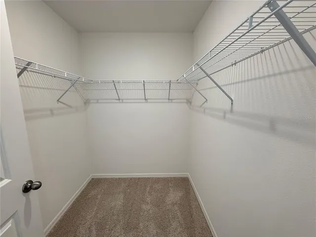 $2,300 | 10821 Ironwood Tree Way, San Antonio, FL 33576