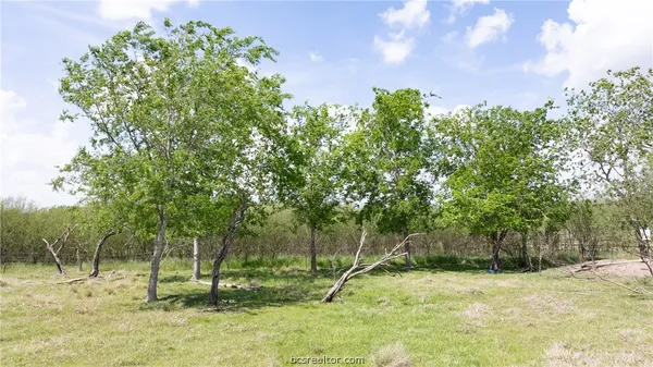 $550,000 | 6981 County Road 108, Iola, TX 77861