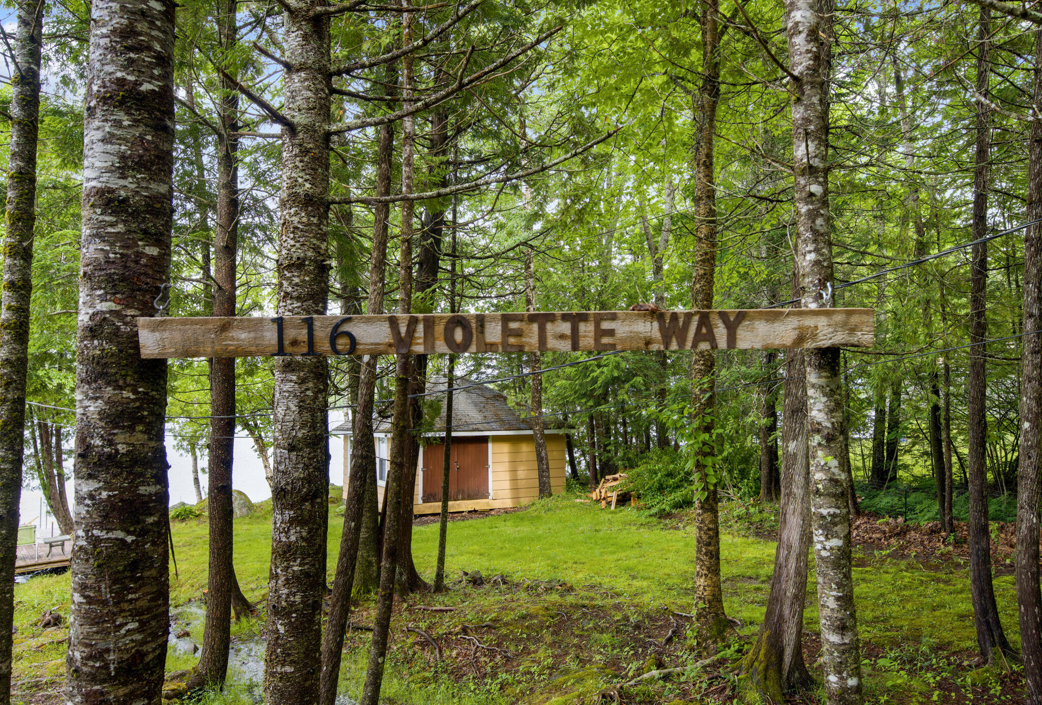 116 Violette Way Orland, ME 04472 - Photo 2 of 42 DSC_9575