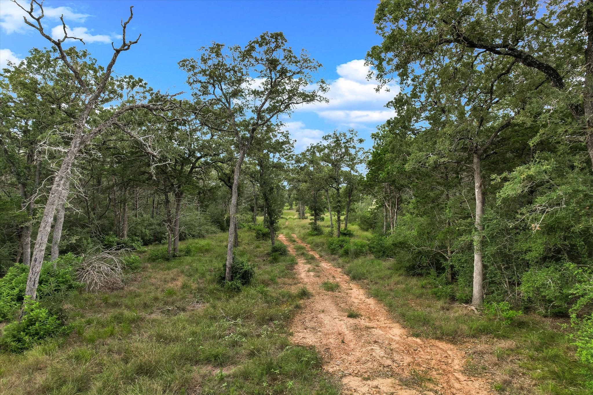 12-13 High Crossing Road Smithville, TX 78957 - Photo 5 of 15
