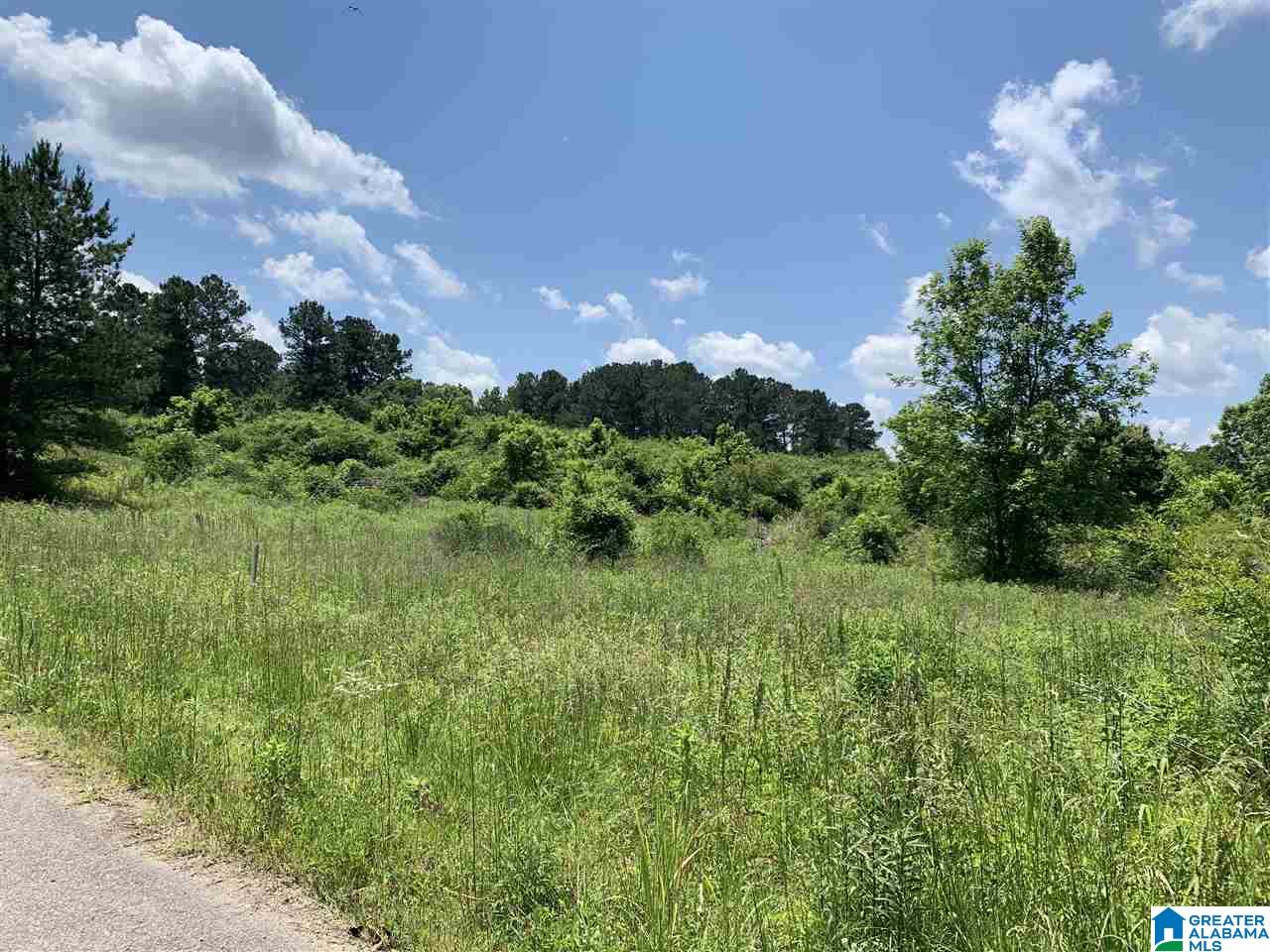 0 Shady Point Road, Unit 1 Locust Fork, AL 35097 - Photo 1 of 3 Gallery Image 1