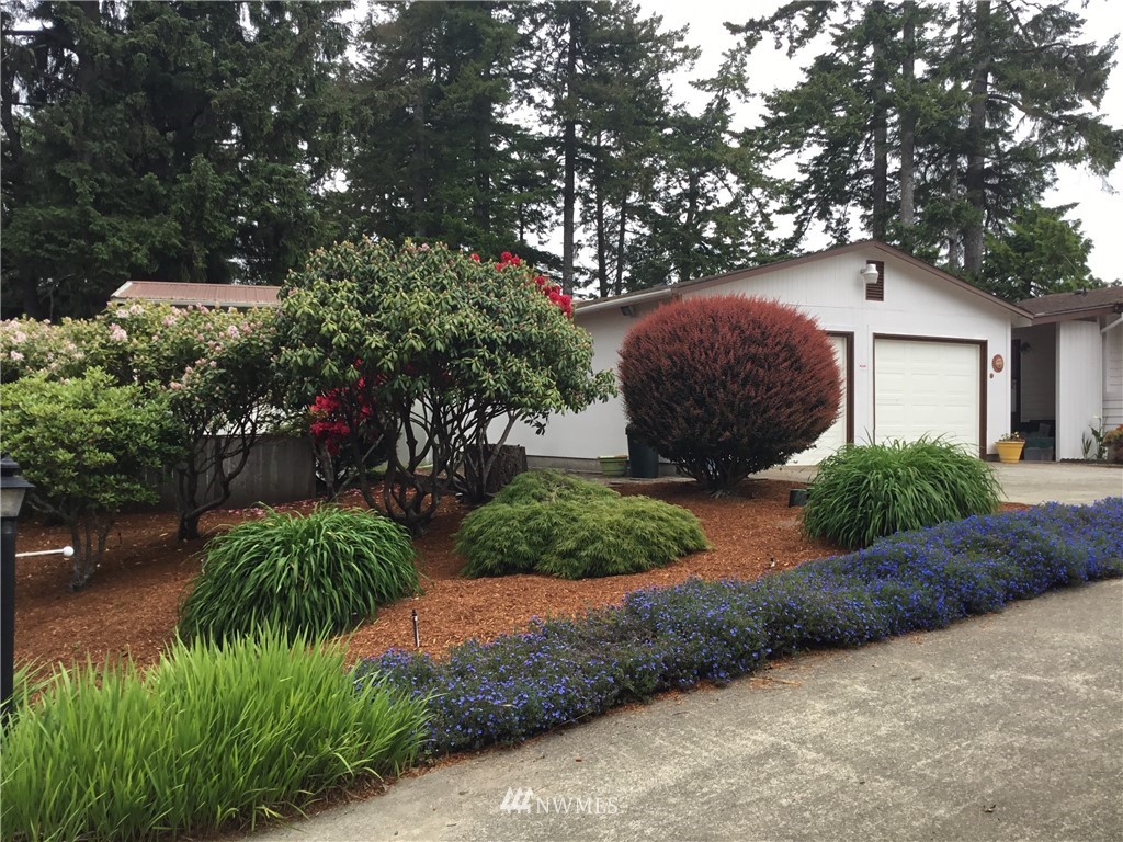 19512 Sandridge Road Long Beach, WA 98631 - Photo 3 of 25 Gallery Image 3