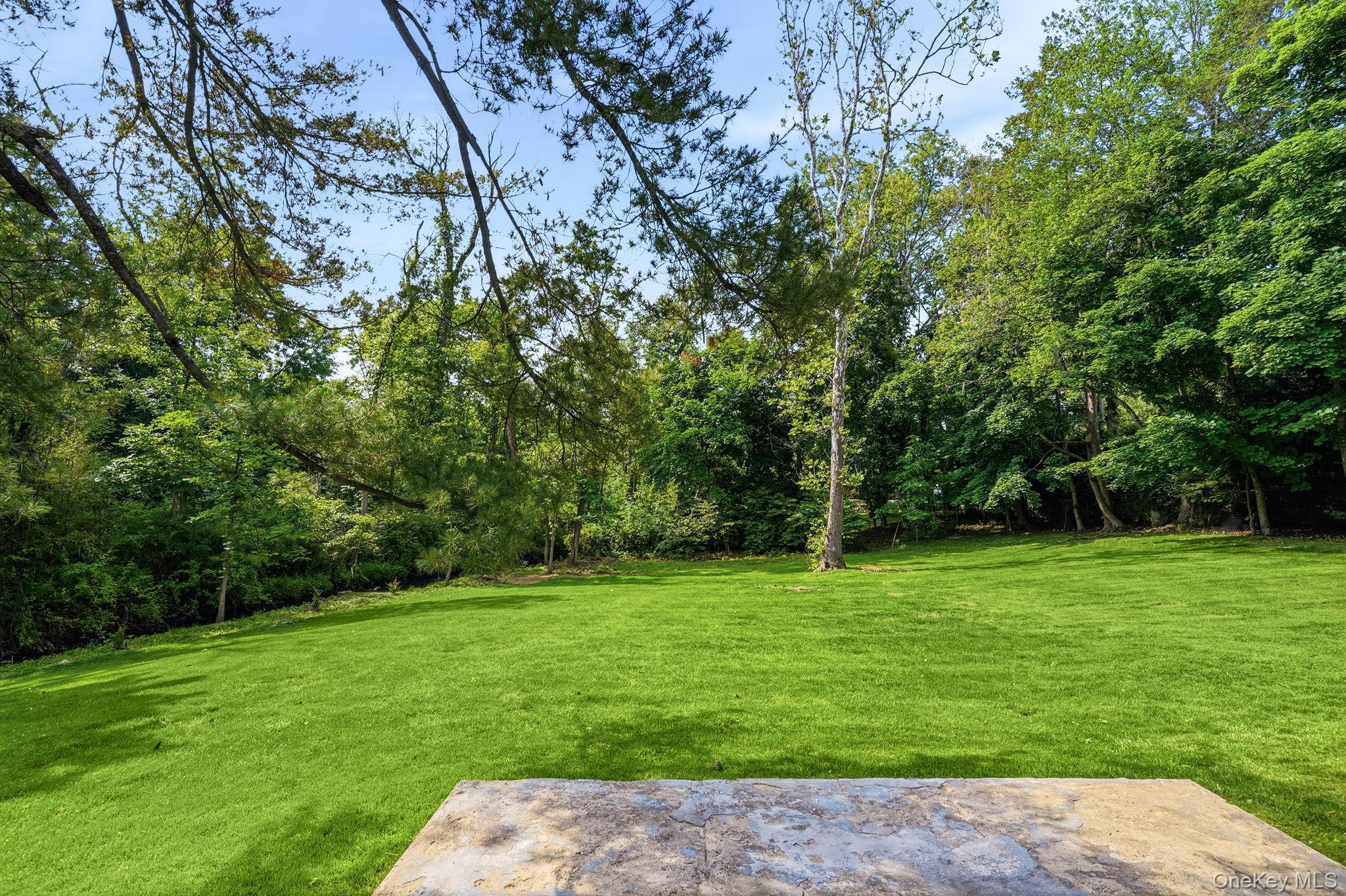 65 Lincoln Road Scarsdale, NY 10583 - Photo 18 of 29