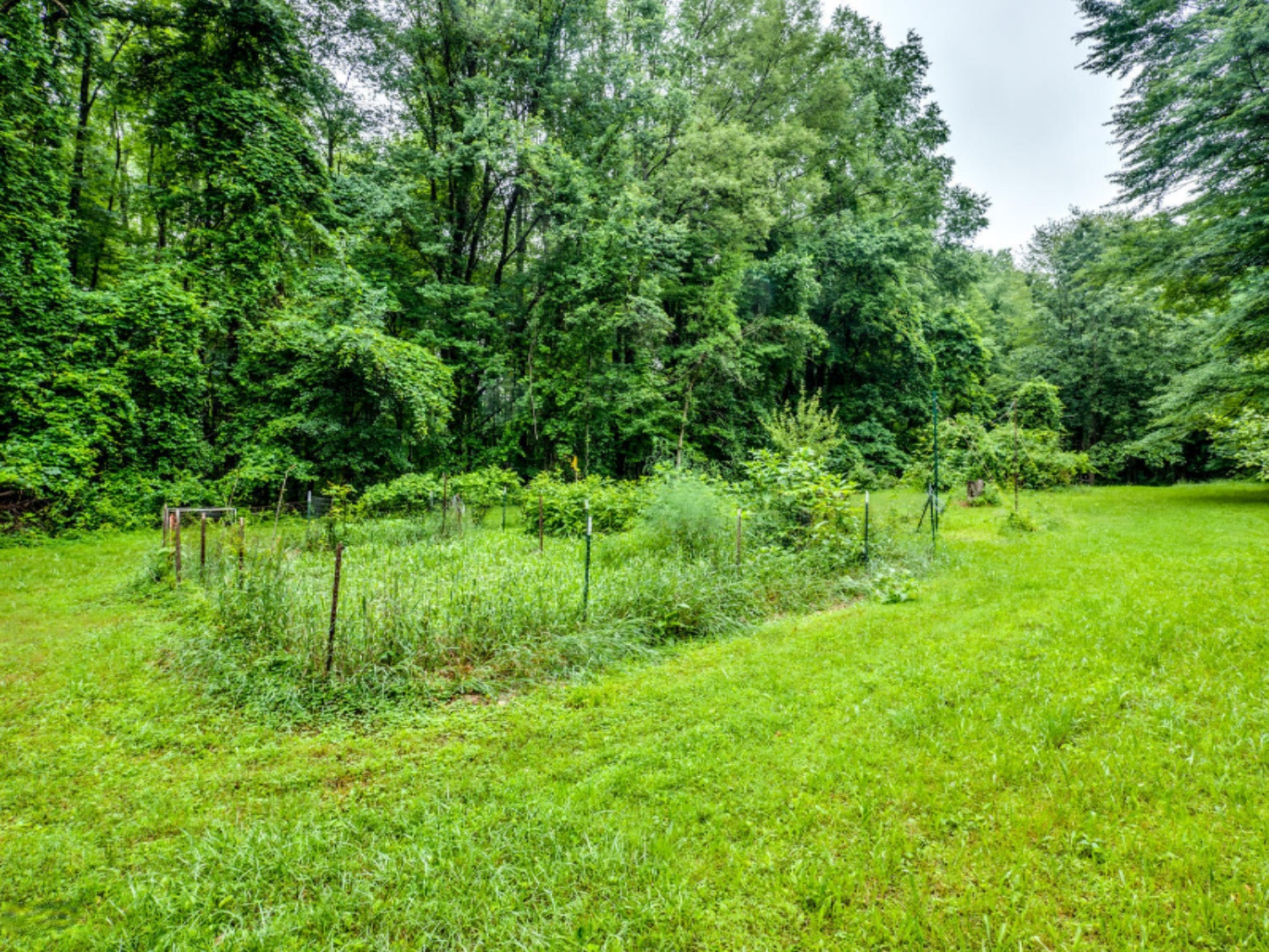 12684 Minges Road South Battle Creek, MI 49015 - Photo 34 of 41 P1099510b