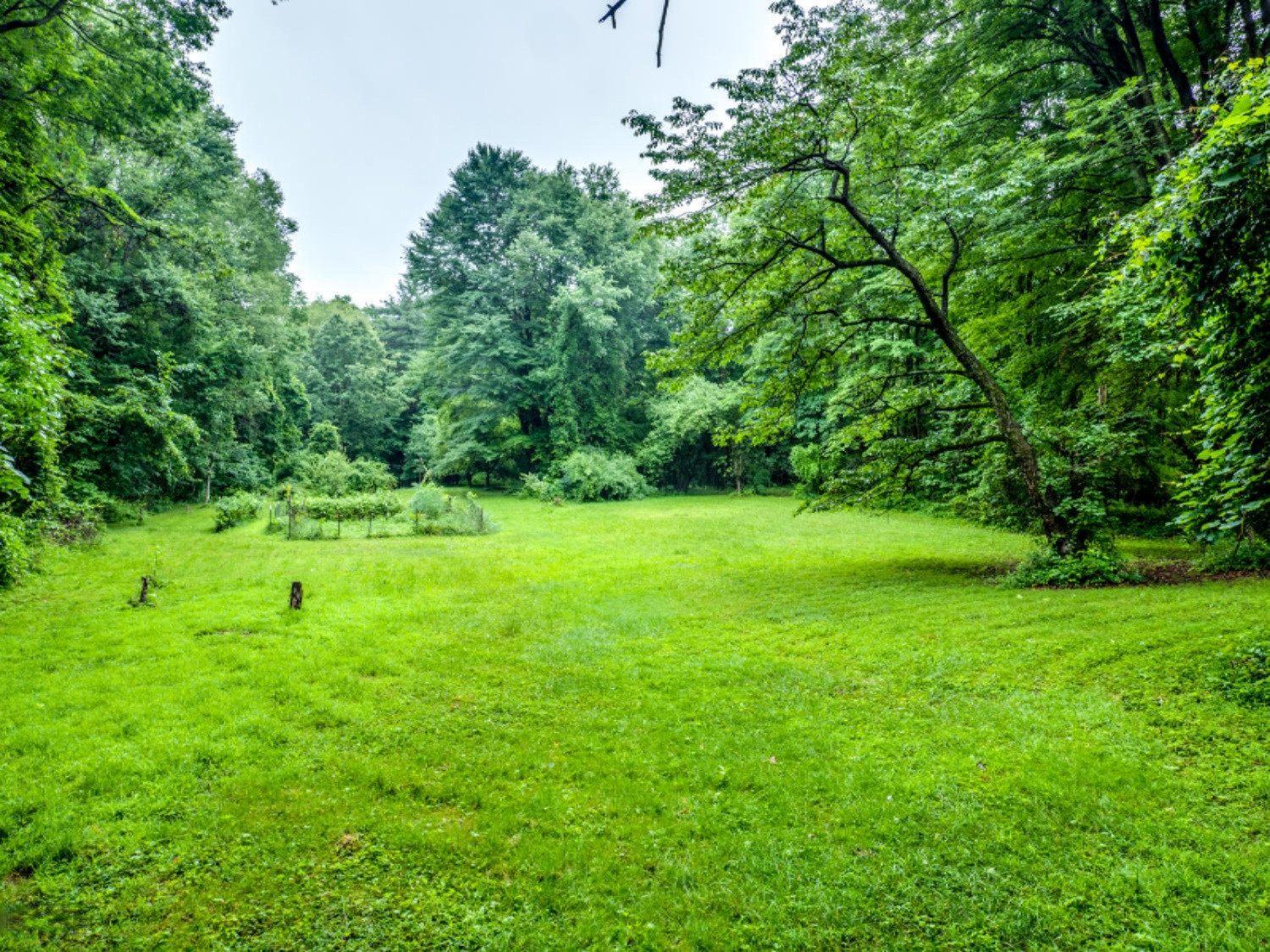12684 Minges Road South Battle Creek, MI 49015 - Photo 35 of 41 P1099505b
