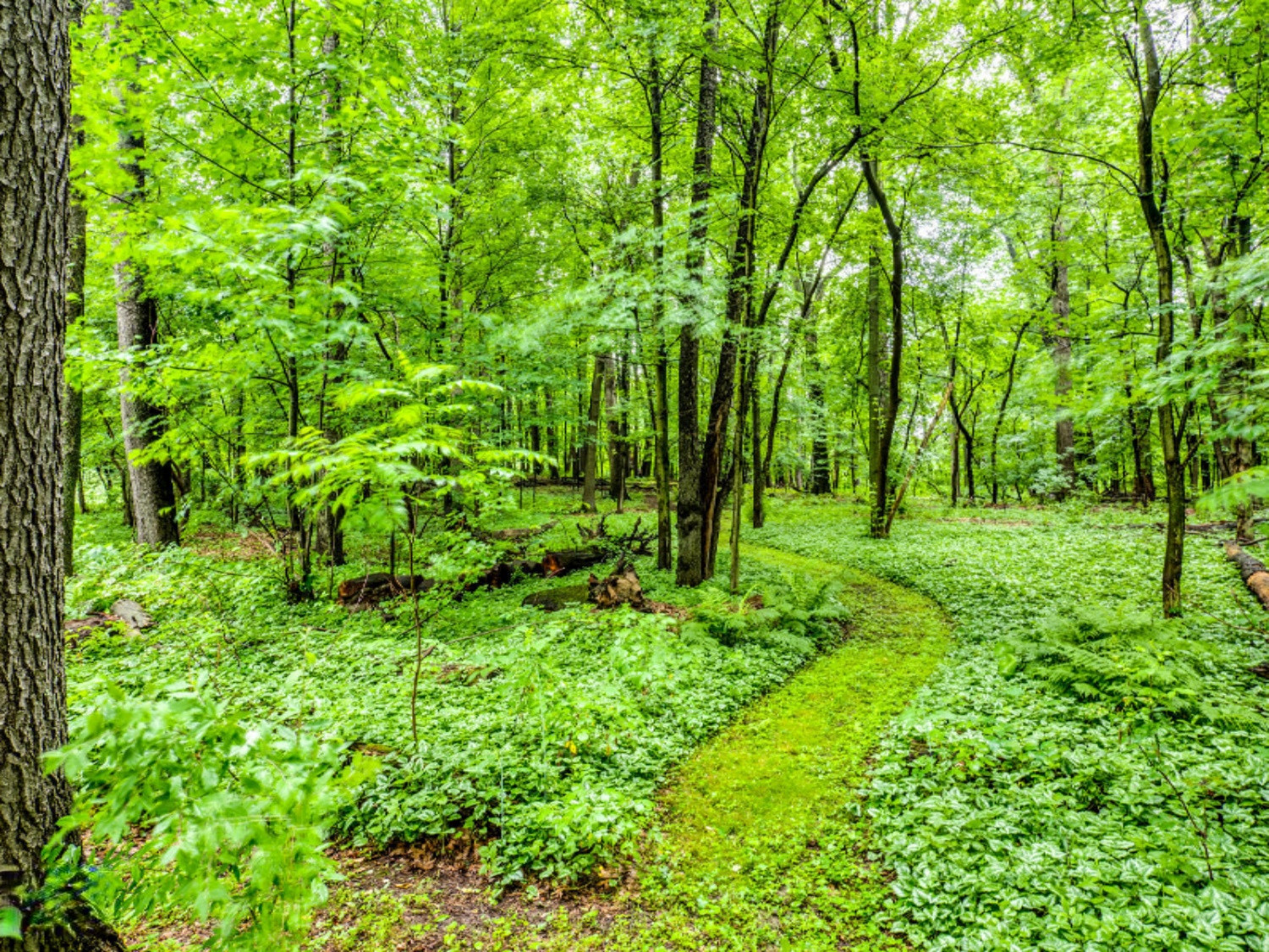 12684 Minges Road South Battle Creek, MI 49015 - Photo 36 of 41 P1099500b