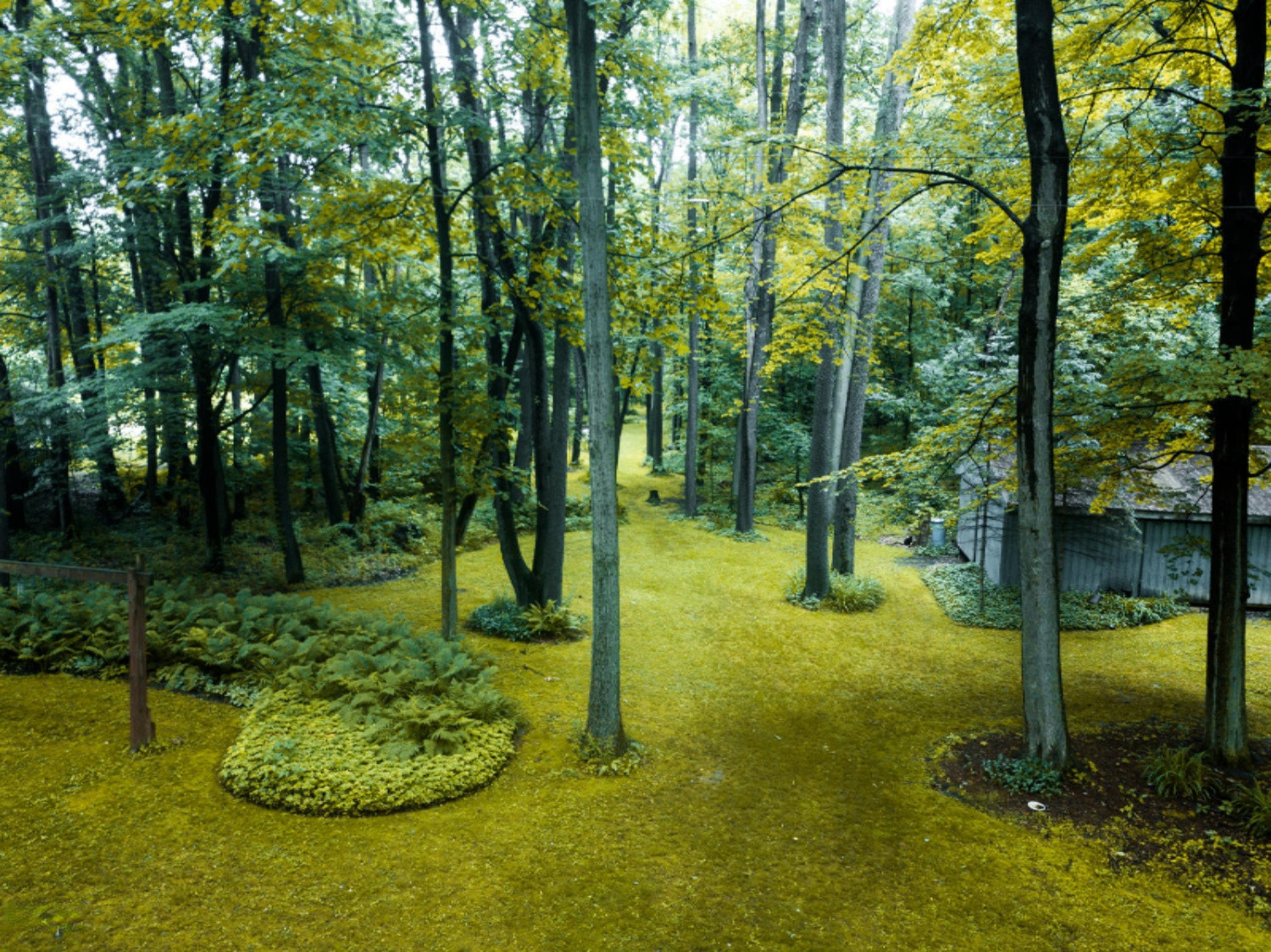 12684 Minges Road South Battle Creek, MI 49015 - Photo 38 of 41 DJI_0072